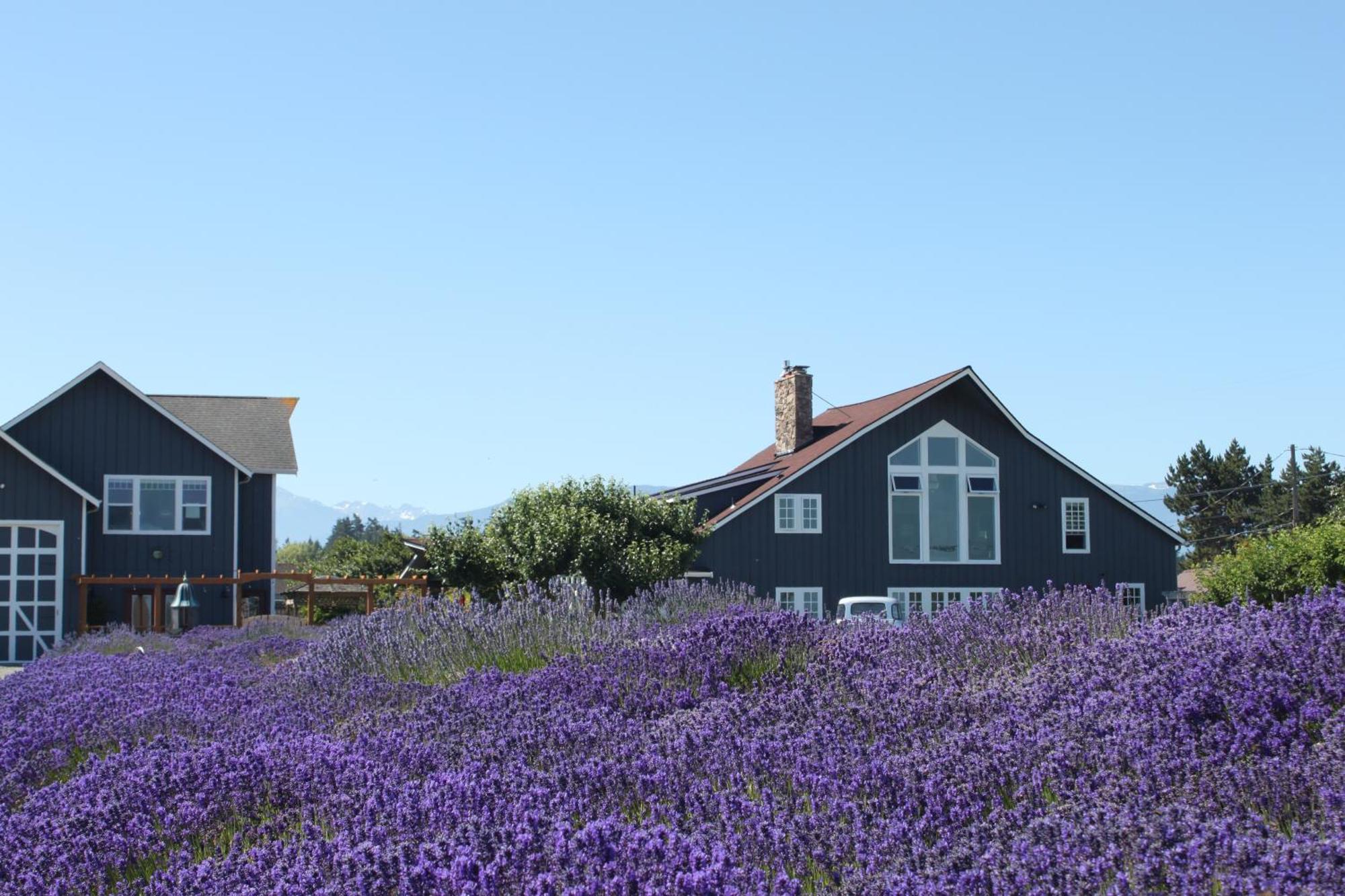 Dungeness Barn House Bed And Breakfast At Two Crows Farm Sequim Exterior foto
